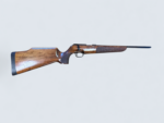 Walter KJS in .22 Hornet